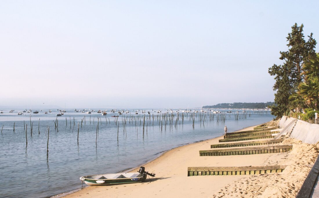 escapade cap ferret